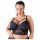 Cottelli Plus Size - Strap Lace Bra (Black)  - 95D