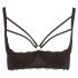 Cottelli Plus Size - Strappy, Ringed Push-Up Bra (Black)  - 95E