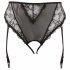 Cottelli Plus Size - Lace Garter Panties (Black) 