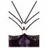 Abierta Fina - strass body'spandoek (zwart) - 80B/M