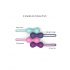 Love to Love Joia Silicone Kegel Balls Duo (Mint) 