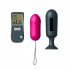 Dorcel Secret Vibe - radiografische vibratie-ei set (2-delig)