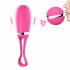 Dorcel Secret Delight - oplaadbare vibratie-ei (roze)