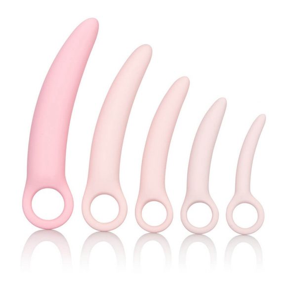 CalExotics Inspire - set vaginale dilators van medische siliconen (roze)