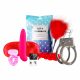 LoveBoxxx Laten We Feesten - vibrator set (7 delen)